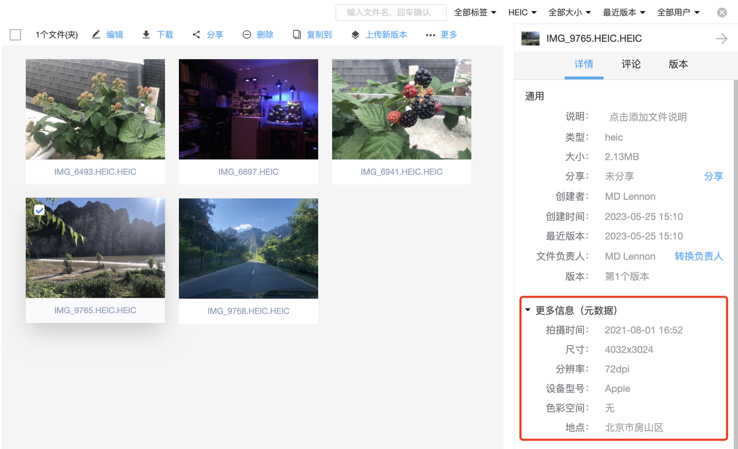 图片元数据面板
